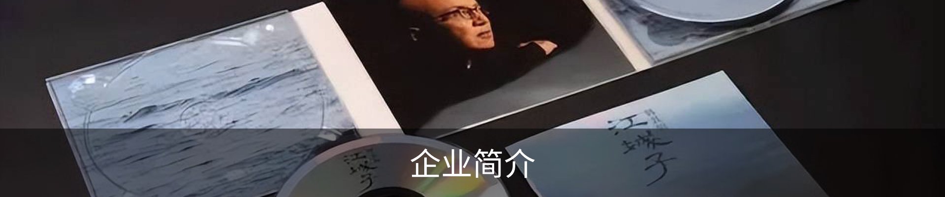 企业简介